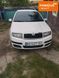 Skoda Fabia, 2007 г., Газ метан / Бензин, 260 тыс. км, Универсал, Белый, Кам'янець-Подільський AT-10404949 фото 1