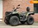 Новий Loncin XWOLF 300, 2023, Бензин, 271 см3, Квадроцикл, Рівне new-moto-106179 фото 1