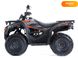 Новый Loncin LX200AU-2, 2023, Бензин, 176 см3, Квадроцикл, Харьков new-moto-106253 фото 2