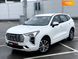 Haval Jolion, 2021, Бензин, 1.5 л., 15 тыс. км, Внедорожник / Кроссовер, Белый, Киев 28225 фото 36