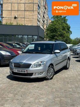 Skoda Fabia, 2010 р., Бензин, 224 тис. км, Хетчбек, Сірий, Кривий Ріг AT-10422515 фото