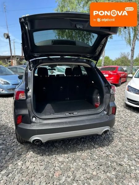 Ford Escape, 2020 р., Бензин, 78 тис. км, Позашляховик / Кросовер, Сірий, Сміла AT-10417713 фото