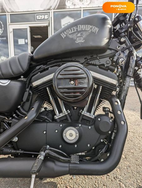 Harley-Davidson 883 Iron, 2017, Бензин, 1 тыс. км, Мотоцикл Чоппер, Чорный, Киев moto-37537 фото