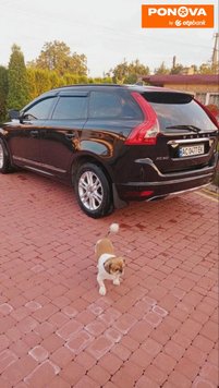 Volvo XC60, 2015, Бензин, 2 л., 205 тис. км, Позашляховик / Кросовер, Чорний, Львів Cars-Pr-276559 фото