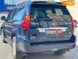 Lexus GX, 2005, Газ пропан-бутан / Бензин, 4.7 л., 190 тис. км, Позашляховик / Кросовер, Синій, Одеса 33386 фото 14