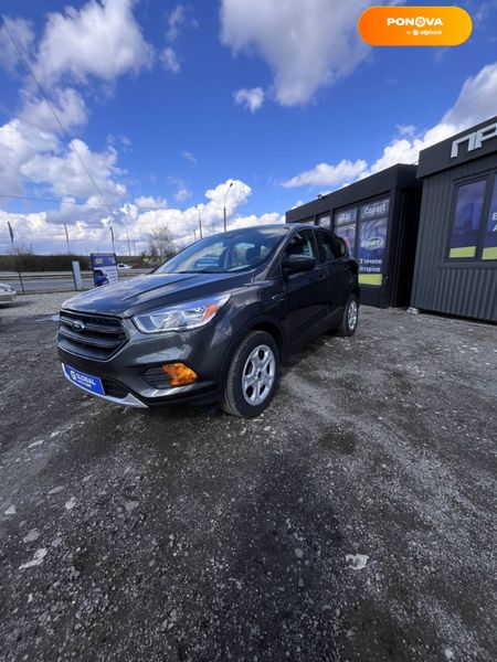 Ford Escape, 2019, Бензин, 44 тис. км, Позашляховик / Кросовер, Сірий, Тернопіль 31081 фото