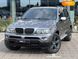 BMW X5, 2004, Дизель, 2.99 л., 390 тис. км, Позашляховик / Кросовер, Сірий, Одеса 110212 фото 1