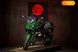 Kawasaki Z 1000SX, 2021, Бензин, 1000 см³, 11 тыс. км, Мотоцикл Без обтікачів (Naked bike), Днепр (Днепропетровск) moto-37709 фото 3
