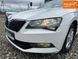 Skoda Superb, 2016 р., Дизель, 195 тис. км, Універсал, Білий, Івано-Франківськ AT-10414733 фото 7