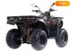 Новый Loncin LX200AU-2, 2023, Бензин, 176 см3, Квадроцикл, Харьков new-moto-105191 фото 6