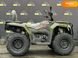 Новый Loncin XWOLF 300, 2024, Бензин, 271 см3, Квадроцикл, Тернополь new-moto-104905 фото 10