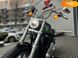 Новый Harley-Davidson Softail Standard, 2024, 1745 см3, Мотоцикл, Киев new-moto-104717 фото 11
