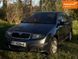 Skoda Fabia, 2004 р., Бензин, 204 тис. км, Седан, Сірий, Кропивницький (Кіровоград) AT-10418531 фото 1