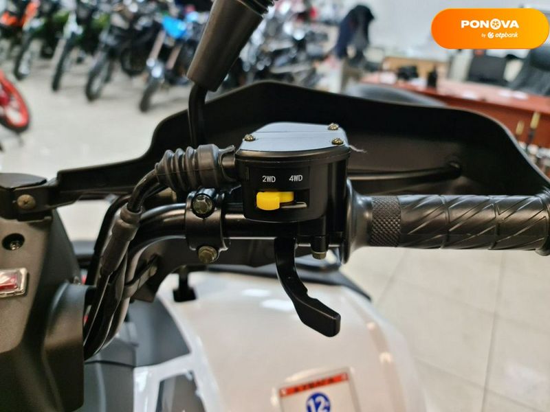 Новый Linhai LH300-D EFI Promax, 2023, Бензин, 275 см3, Квадроцикл, Днепр (Днепропетровск) new-moto-104119 фото