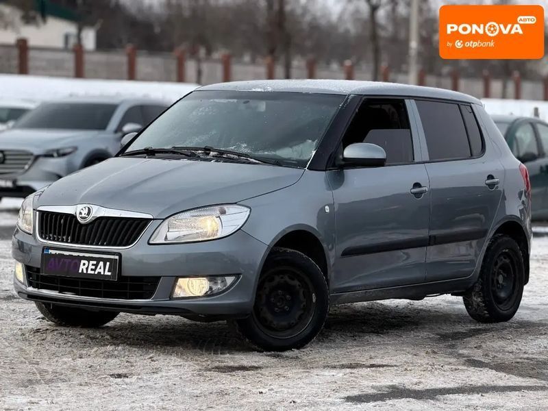 Skoda Fabia, 2013 р., Газ метан / Бензин, 170 тис. км, Хетчбек, Сірий, Кривий Ріг AT-10409255 фото