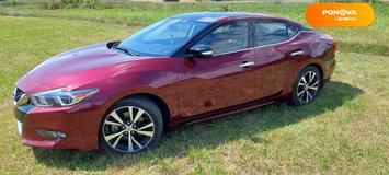 Nissan Maxima, 2017, Бензин, 3.5 л., 102 тис. км, Седан, Червоний, Київ Cars-Pr-232907 фото