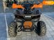 Новий Forte ATV, 2023, Бензин, 125 см3, Квадроцикл, Івано-Франківськ new-moto-103943 фото 5