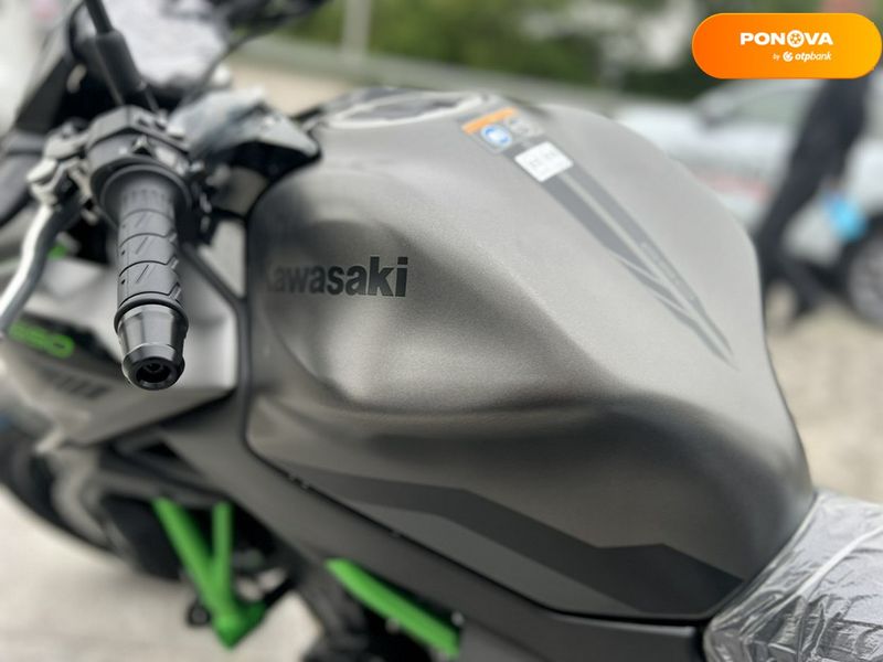 Новий Kawasaki Z, 2024, Бензин, 649 см3, Мотоцикл, Дніпро (Дніпропетровськ) new-moto-104301 фото