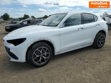 Alfa Romeo Stelvio, 2020, Бензин, 2 л., 55 тис. км, Позашляховик / Кросовер, Білий, Дніпро (Дніпропетровськ) Cars-EU-US-KR-279422 фото