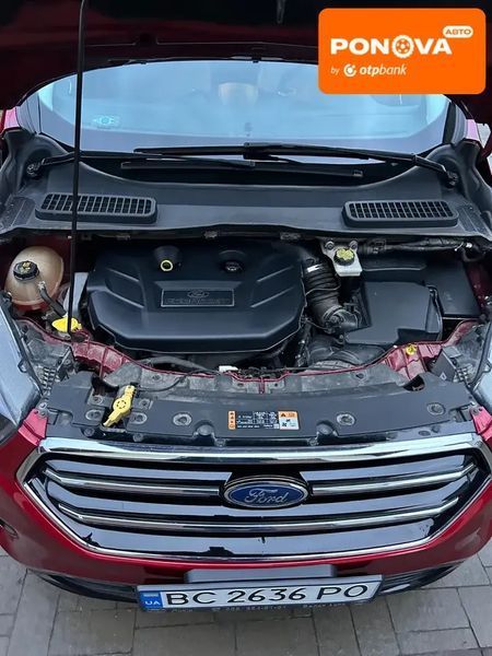 Ford Escape, 2017 р., Бензин, 170 тис. км, Позашляховик / Кросовер, Червоний, Львів AT-10405175 фото