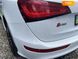 Audi SQ5, 2016, Бензин, 3 л., 174 тыс. км, Внедорожник / Кроссовер, Белый, Тернополь Cars-Pr-60510 фото 2