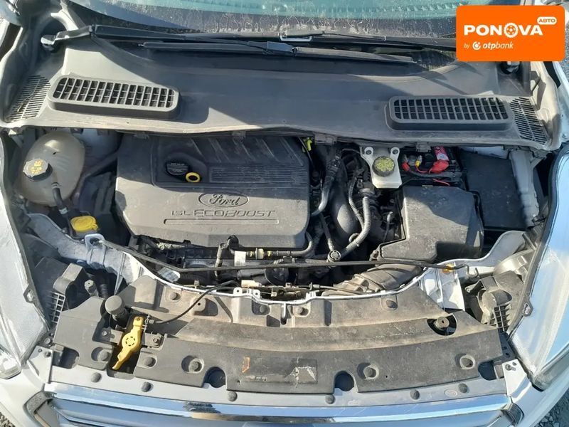 Ford Escape, 2017 г., Бензин, 275 тыс. км, Внедорожник / Кроссовер, Белый, Ровно AT-10411861 фото